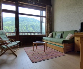 Appartement Le Grand-Bornand, 3 pièces, 6 personnes - FR-1-458-115