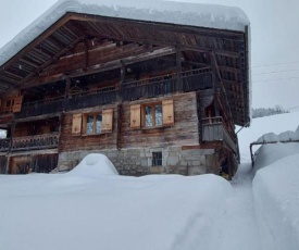 CHALET VENDEE-NEIGE Appartement CHARMIEUX 6 places 3 chambres