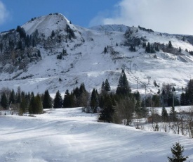 Les Amborzales