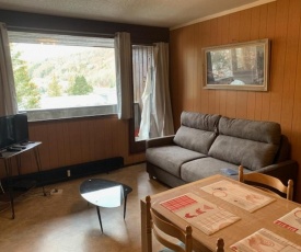 Appartement Mont-Dore, 2 pièces, 4 personnes - FR-1-415-39