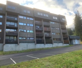 Appartement Mont-Dore, 2 pièces, 4 personnes - FR-1-415-64