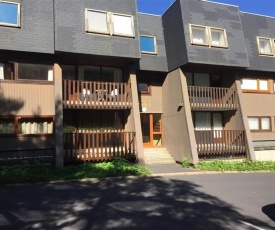 Appartement Mont-Dore, 2 pièces, 6 personnes - FR-1-415-62