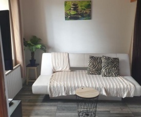 Appartement rénové à Besse