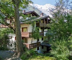 Mont Blanc view apt in the heart of Chamonix