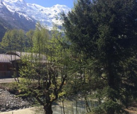 Studio lumineux avec vue sur le massif du Mont-Blanc