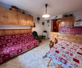 Aravis B18-appartement 4/5 pers, belle vue