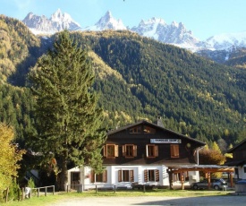 Le Chamoniard Volant