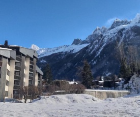 studio plein sud vue Mont Blanc CHAMONIX