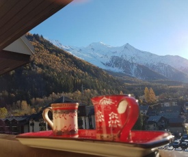 Vue MontBlanc magique en centre-ville avec parking