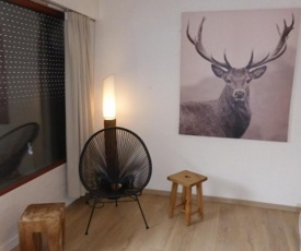 Appartement Samoëns, 2 pièces, 4 personnes - FR-1-629-50